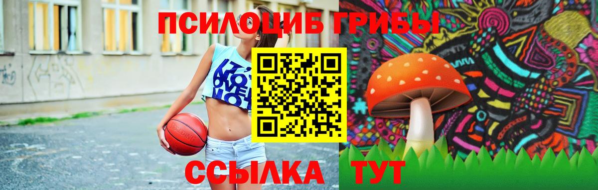 Псилоцибиновые грибы мицелий  Вход с VPN  Лиски 